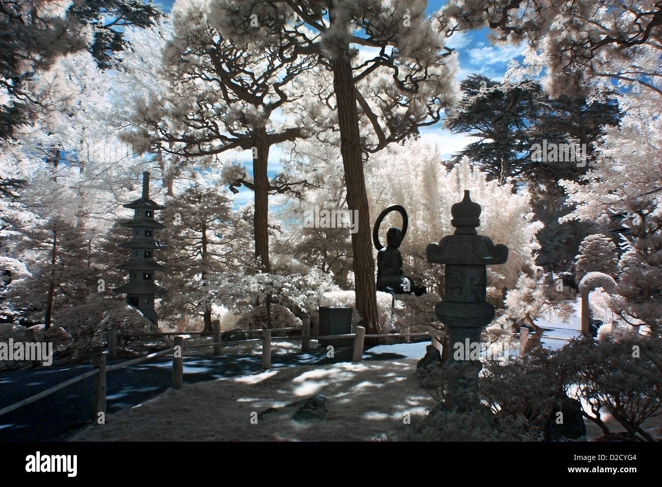 An Infrared Photograph Of A Buddha Statue At The San Francisco