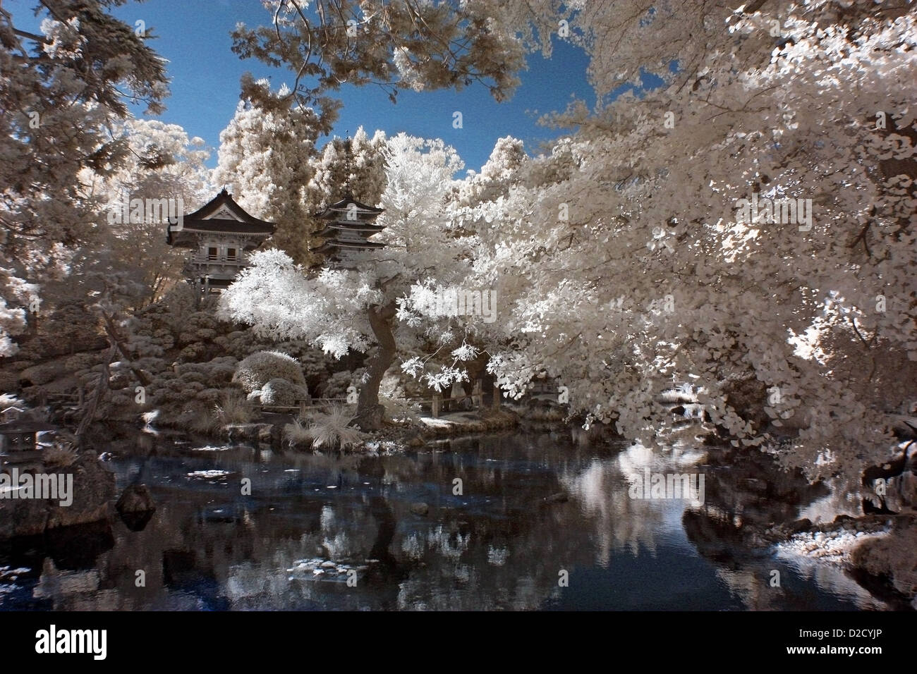 An Infrared Photograph Of Temples And A Pond At The San Francisco