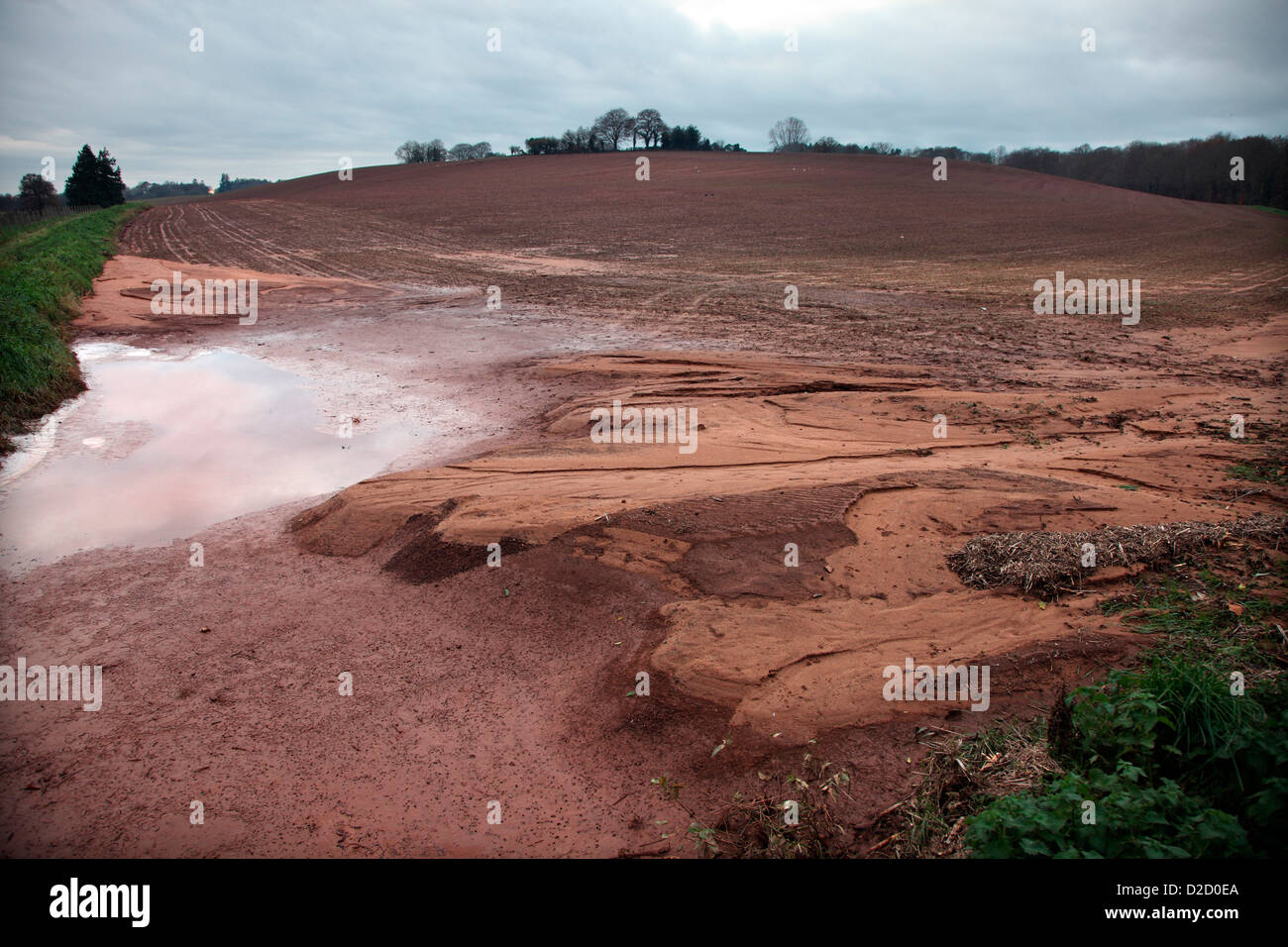 Soil erosion in a vulnerable field in Somerset made far worse by late cultivation Stock Photo