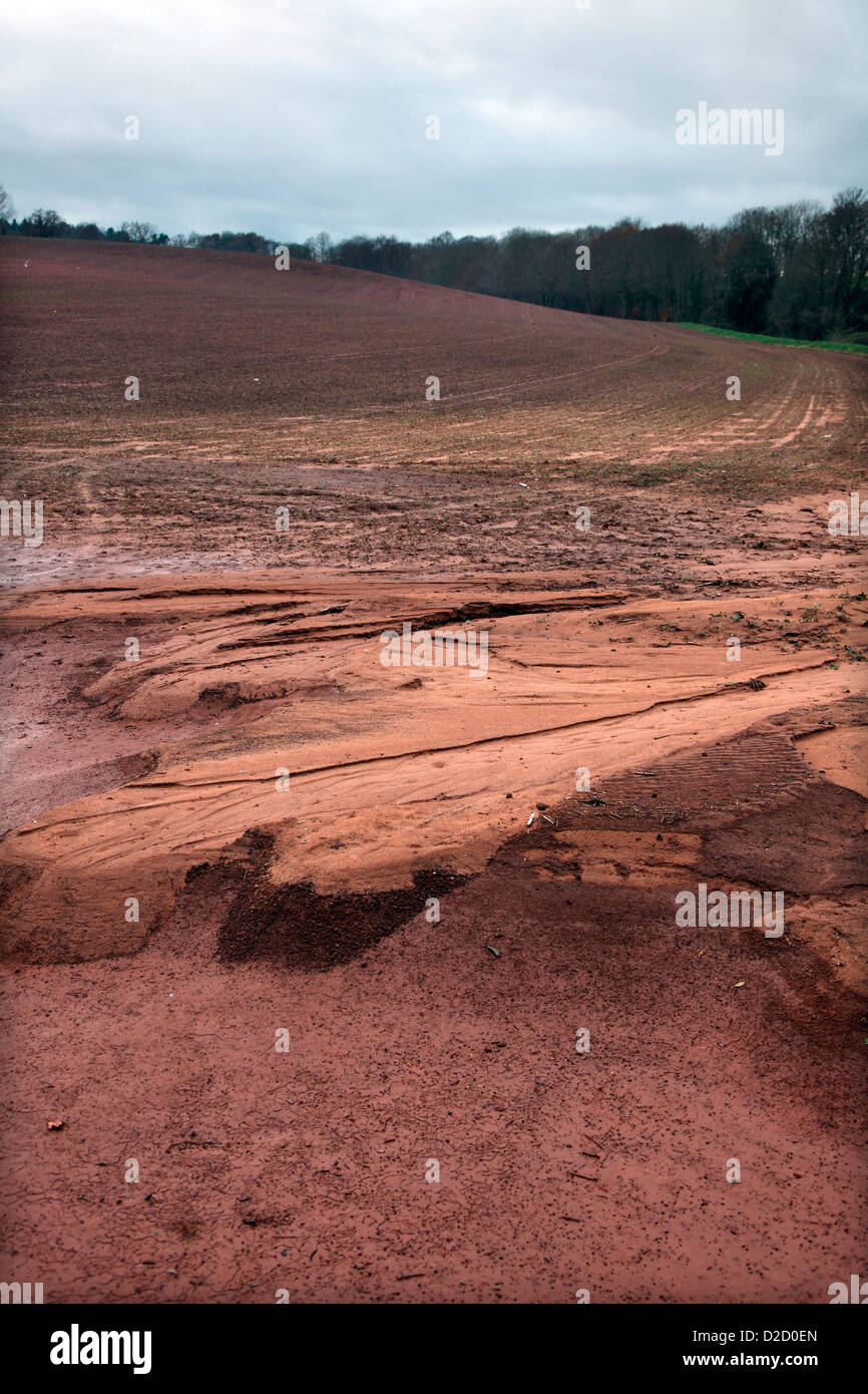 Soil erosion in a vulnerable field in Somerset made far worse by late cultivation Stock Photo