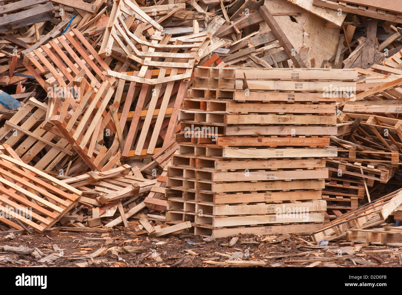 Stacks of pallets at pallet recyling business in Michigan, USA Stock