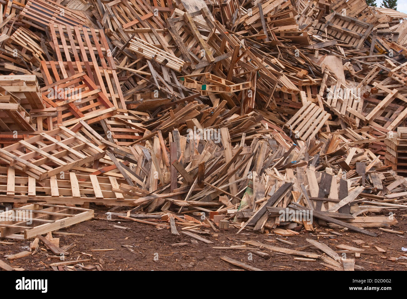 Stacks of pallets at pallet recyling business in Michigan, USA Stock