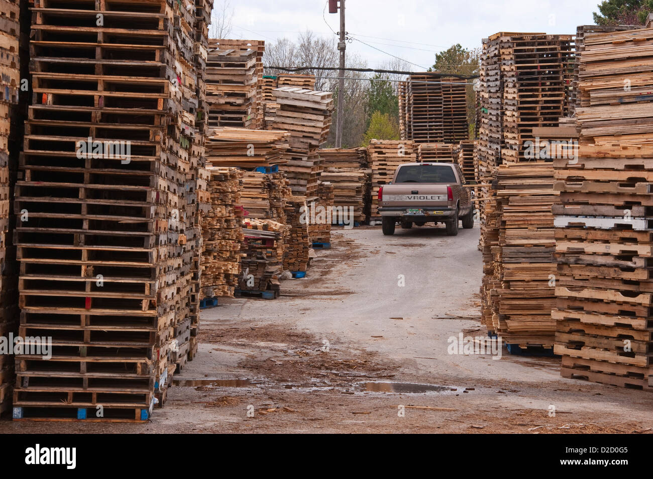 Stacks of pallets at pallet recycling business in Michigan, USA Stock