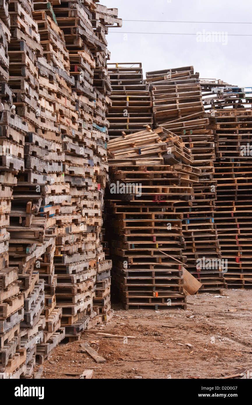 Stacks of pallets at pallet recyling business in Michigan, USA Stock