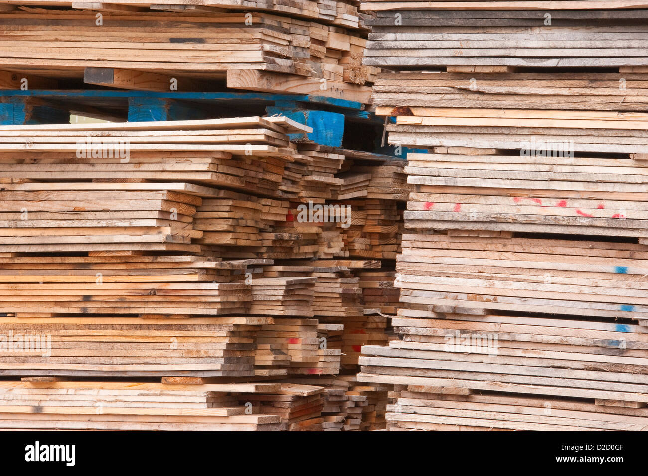 Stacks of pallets at pallet recyling business in Michigan, USA Stock