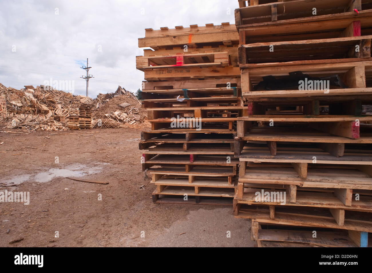 Stacks of pallets at pallet recycling business in Michigan, USA Stock Photo