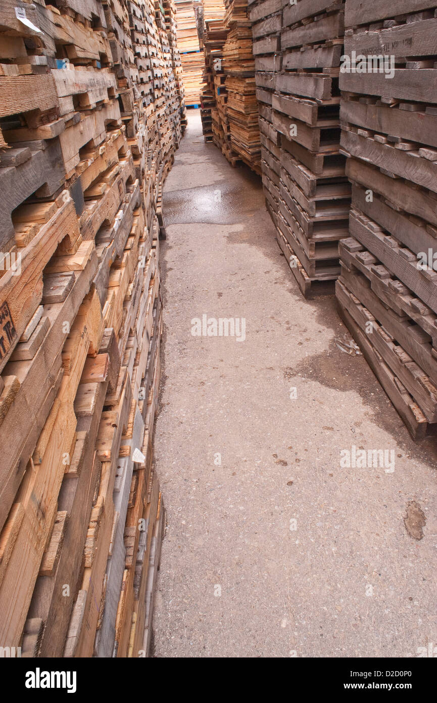 Stacks of pallets at pallet recyling business in Michigan, USA Stock