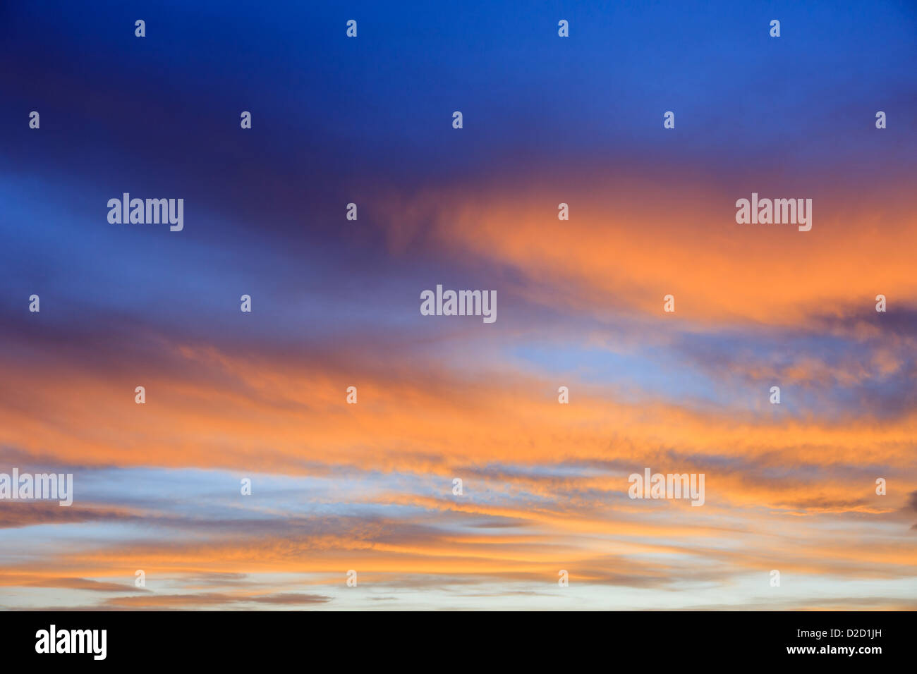 Fiery September evening skyscape with clouds lit by the orange sunset against a darkening blue sky at sundown. England UK Britain Stock Photo