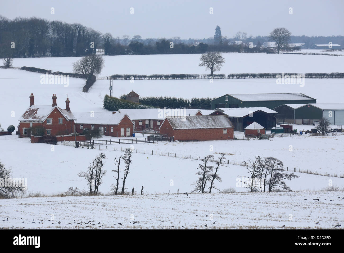 An isolated farmhouse surrounded by snow near Empingham,Rutland Stock ...