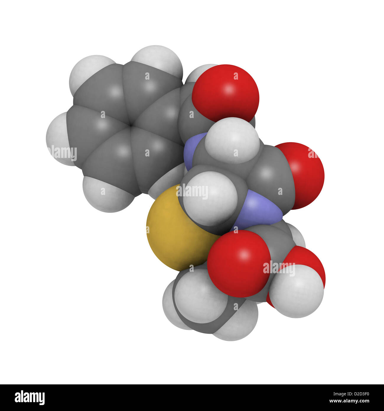 Penicillin g beta lactam