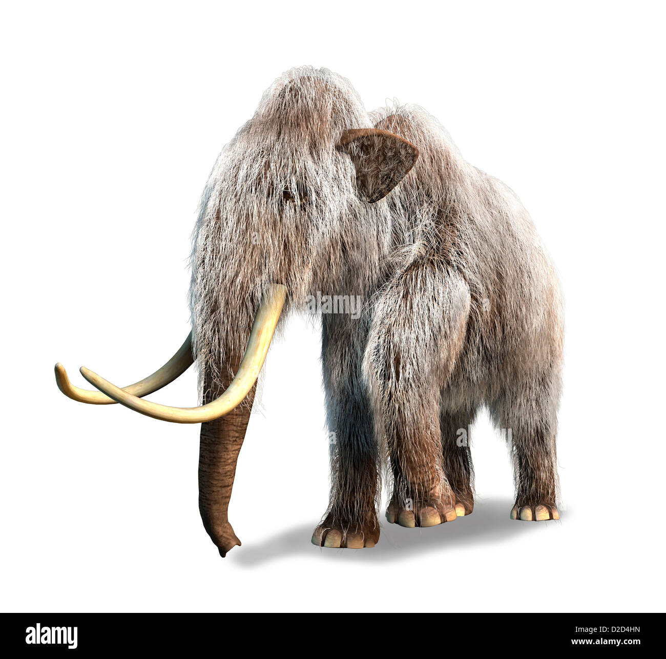 Woolly mammoth Mammuthus primigenius computer artwork Stock Photo