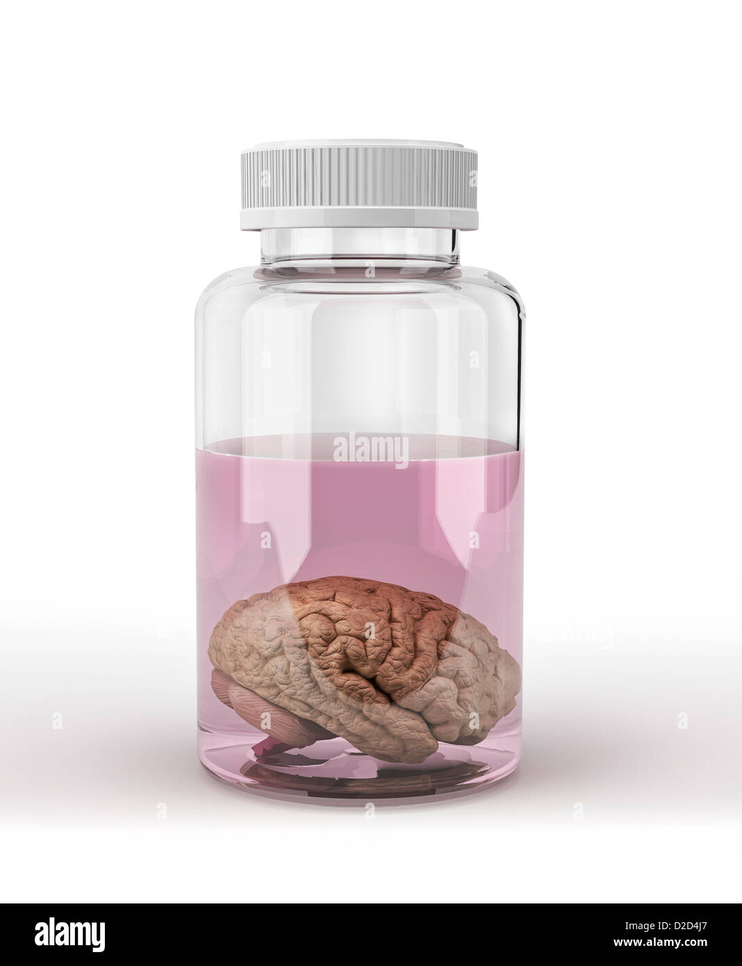 Preserved brain computer artwork Stock Photo