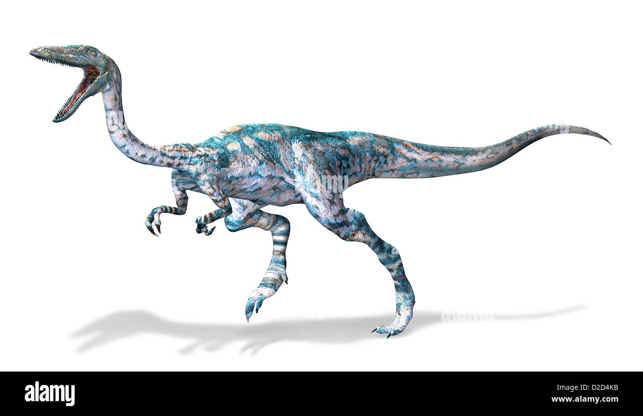 Coelophysis dinosaur computer artwork bipedal Stock Photo