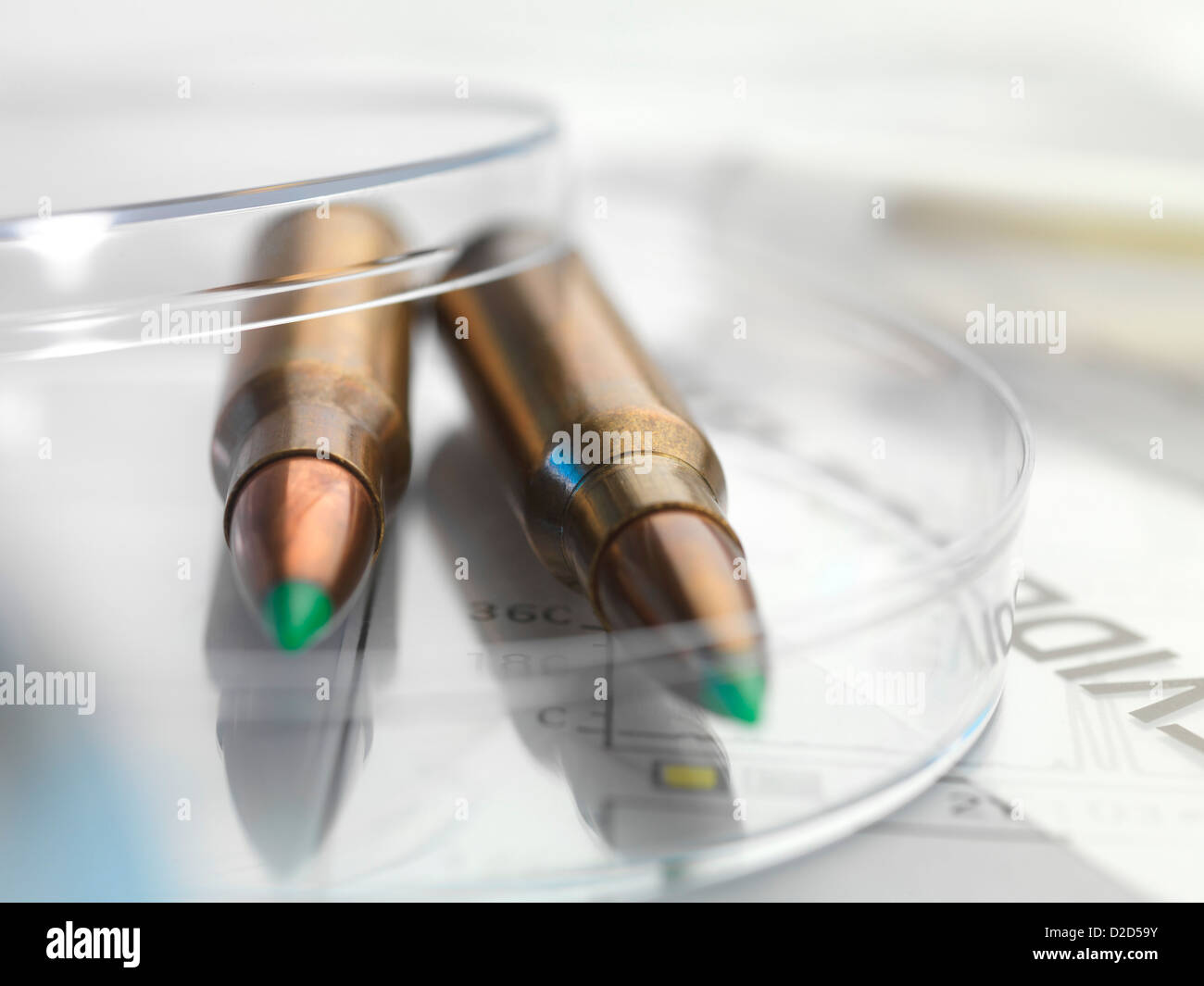 Forensic evidence Bullets in a petri dish Stock Photo