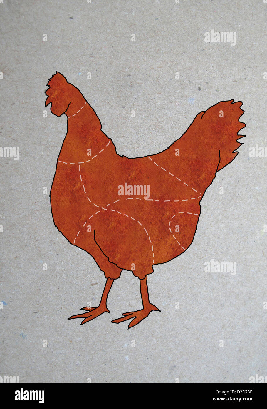 A butcher's diagram of a chicken Stock Photo