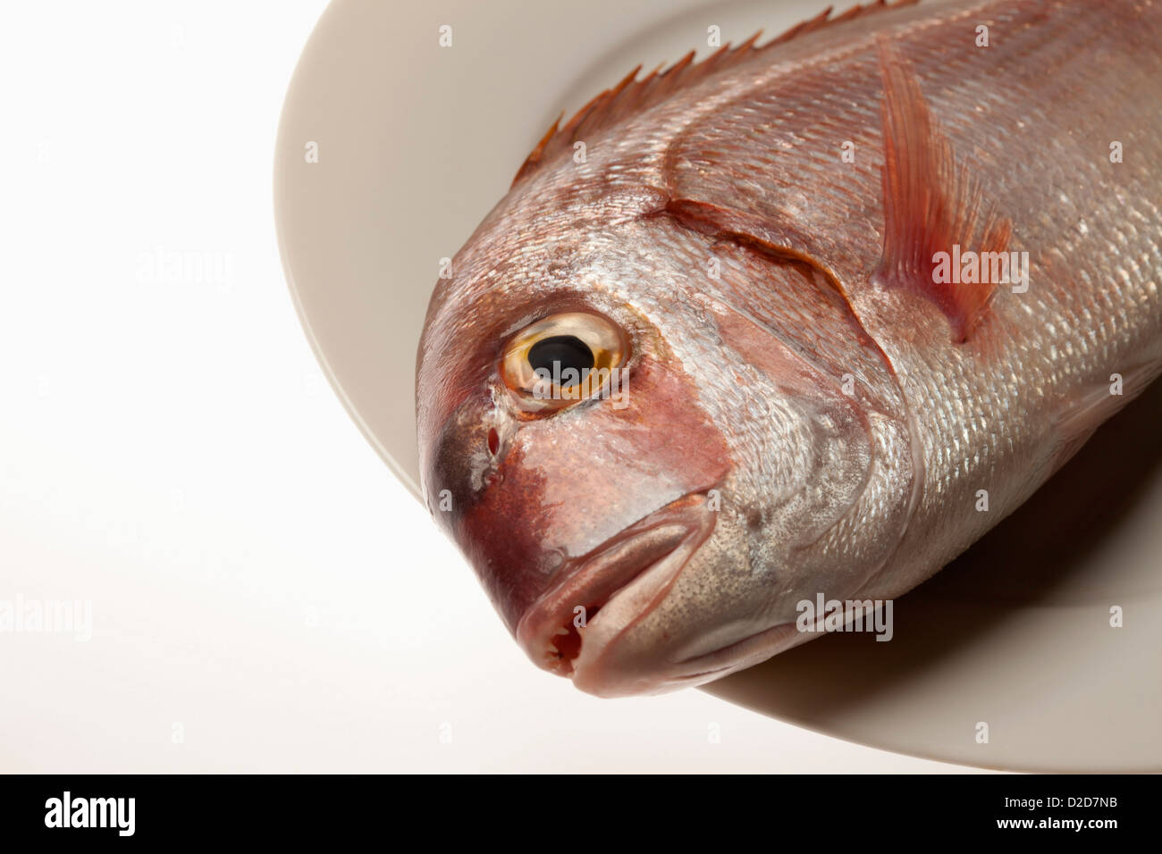 Red sea bream fish head hi-res stock photography and images - Alamy