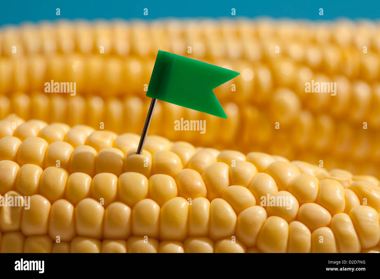 Tiny flag in sweet corn Stock Photo - Alamy