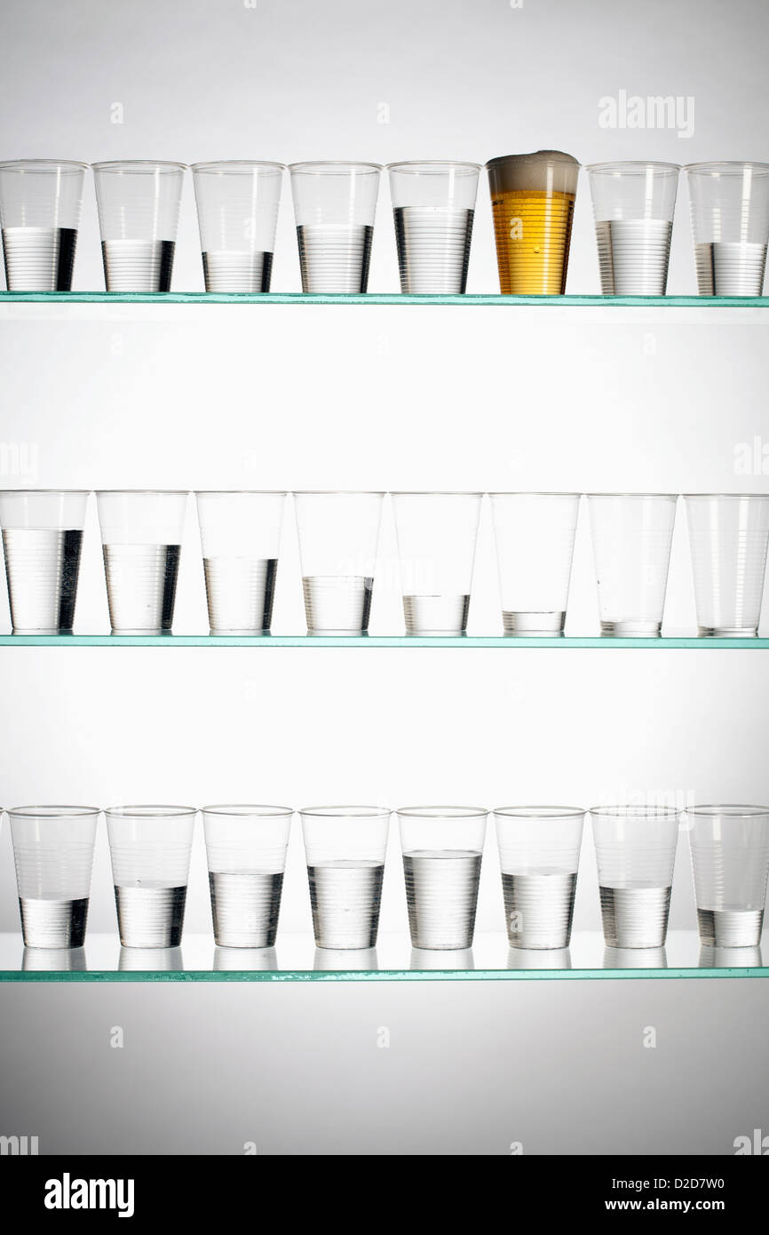 Rows of glasses with varying amounts of water and one filled with beer Stock Photo