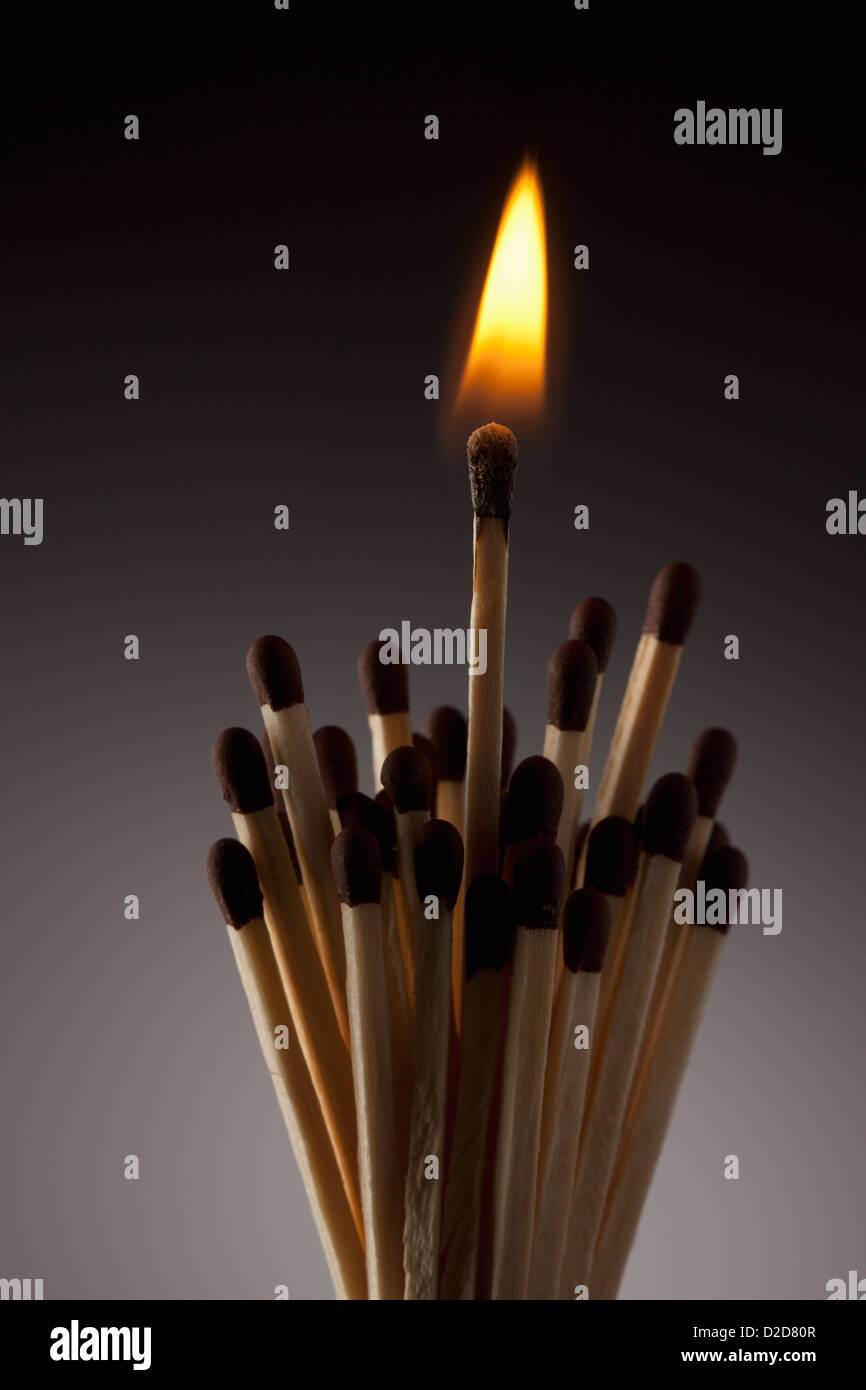 One lit match in bundle of matches Stock Photo