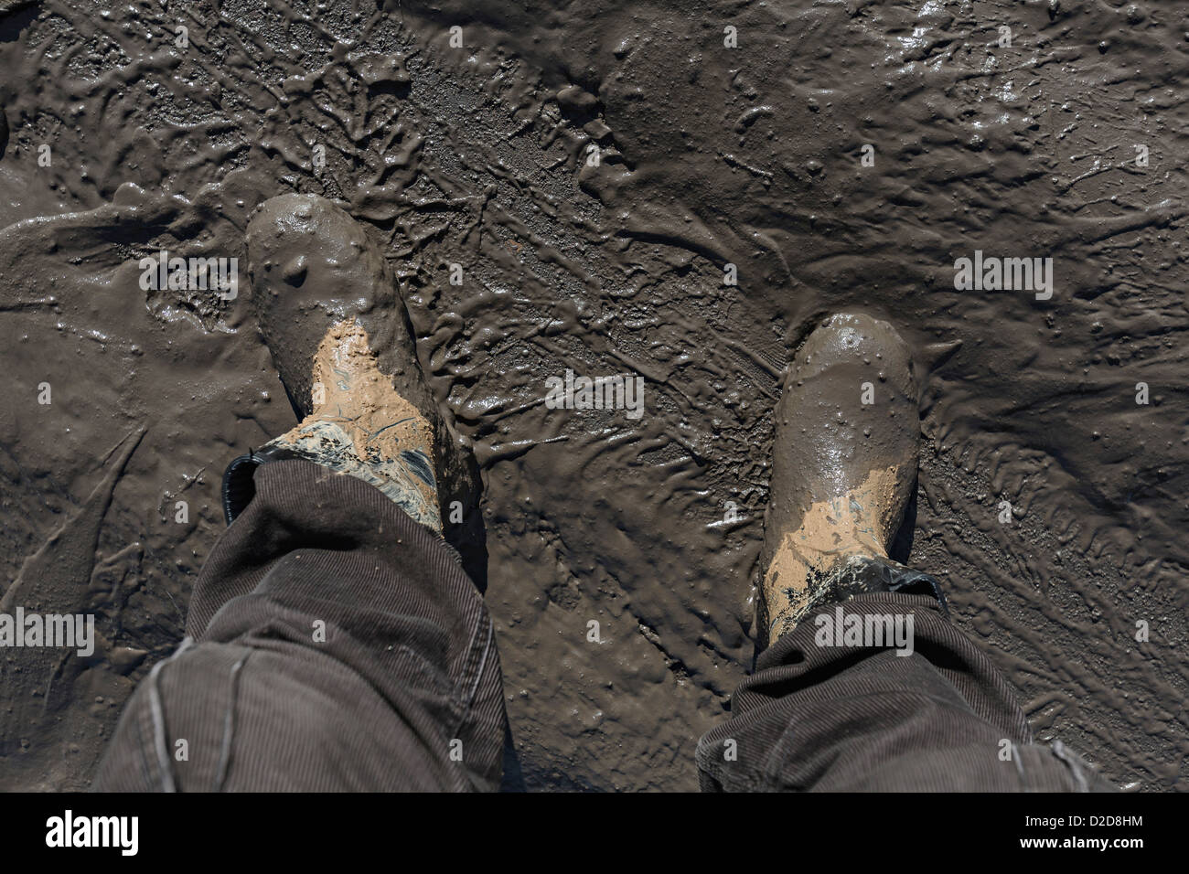 Construction worker's feet in mud of tyre track Stock Photo
