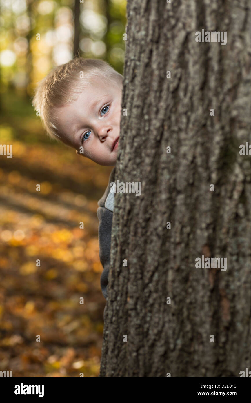 A young boy peeking from behind a tree trunk Stock Photo