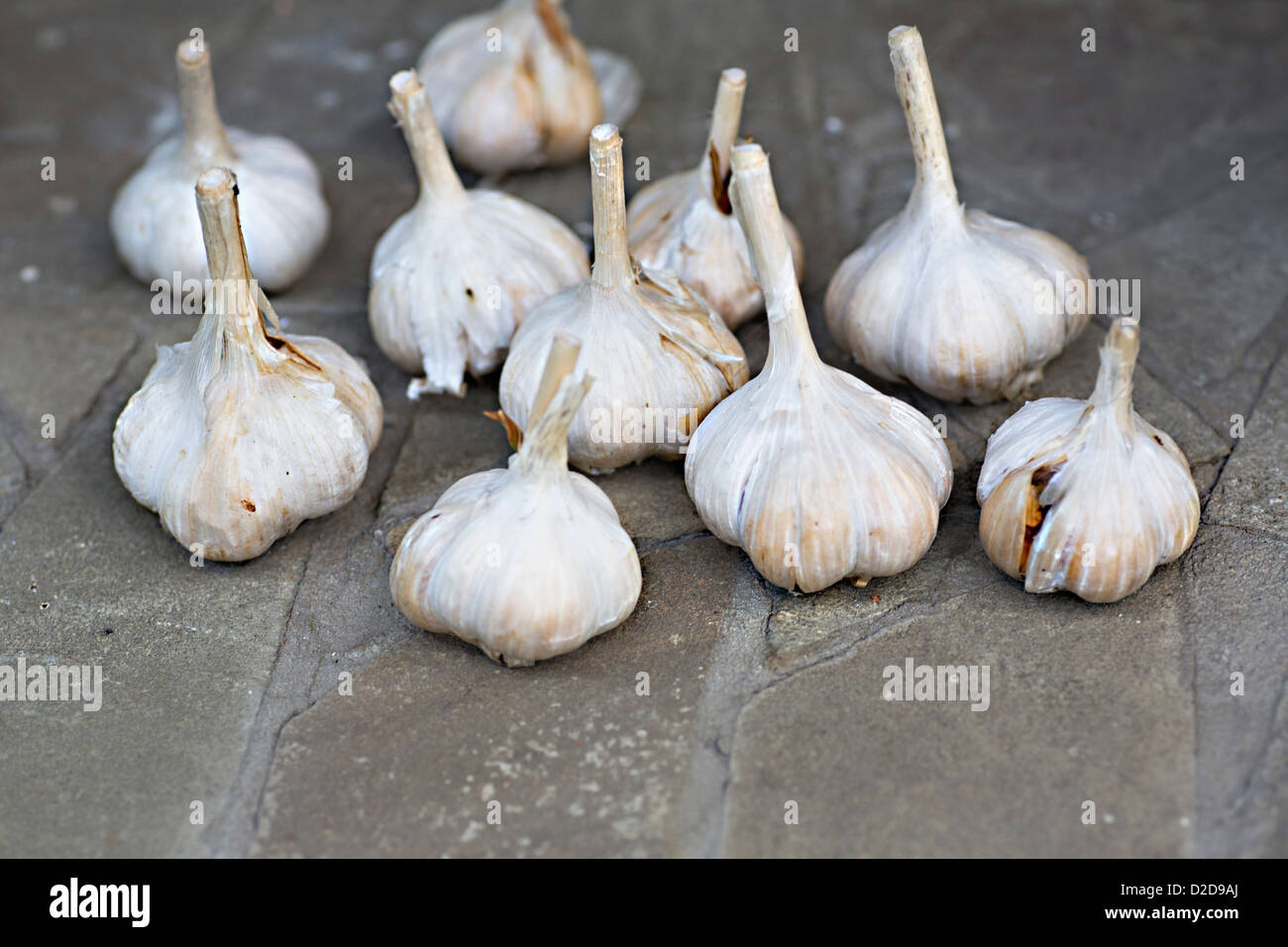 A group of garlic bulbs Stock Photo