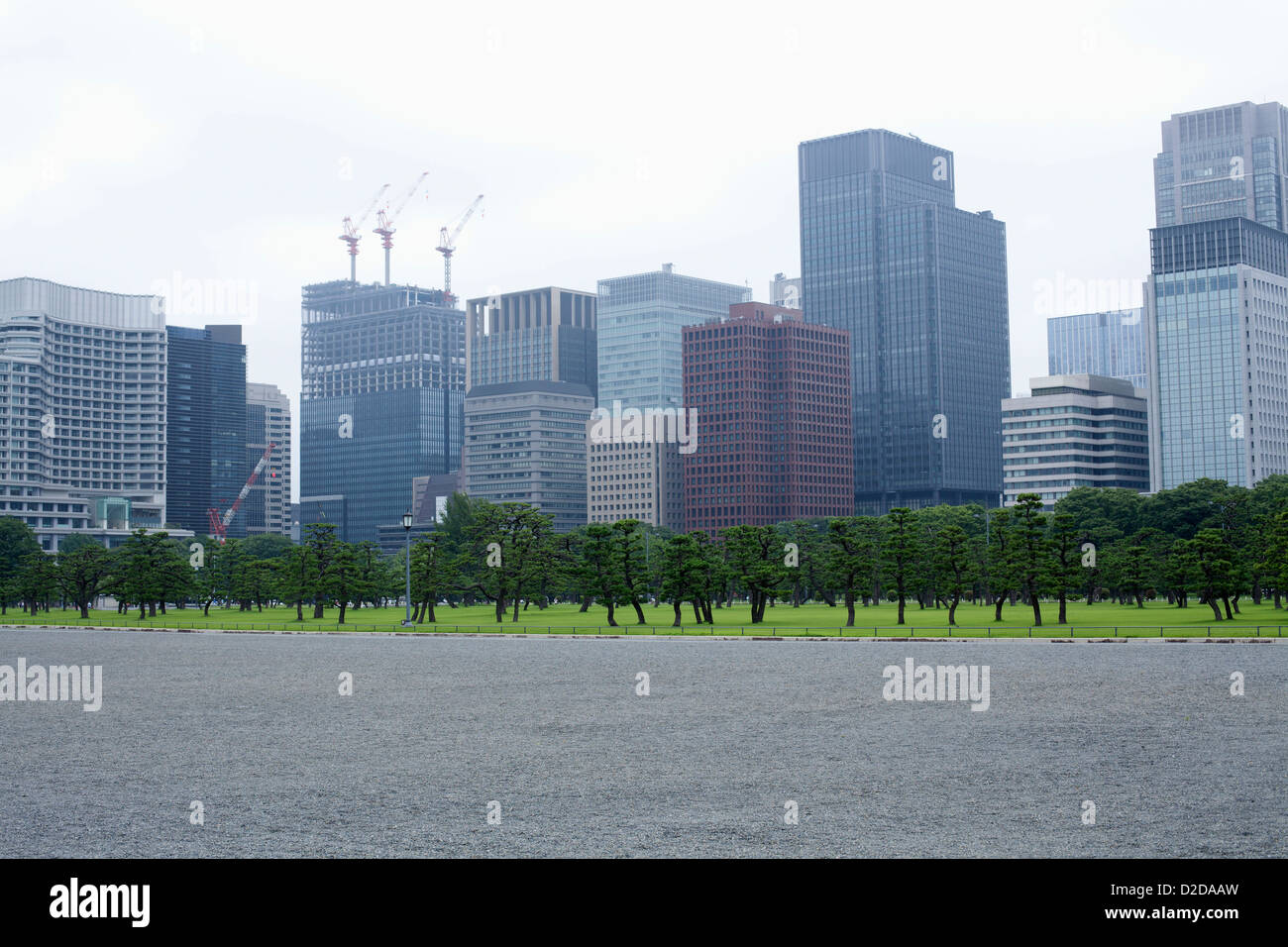 Skyscrapers in marunouchi business district viewed from outer gardens of Imperial Palace, Tokyo Stock Photo