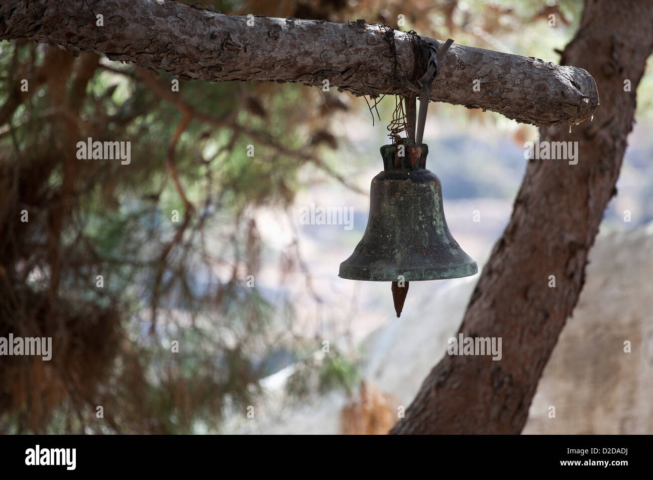 Bell hanging from tree Stock Photo Alamy