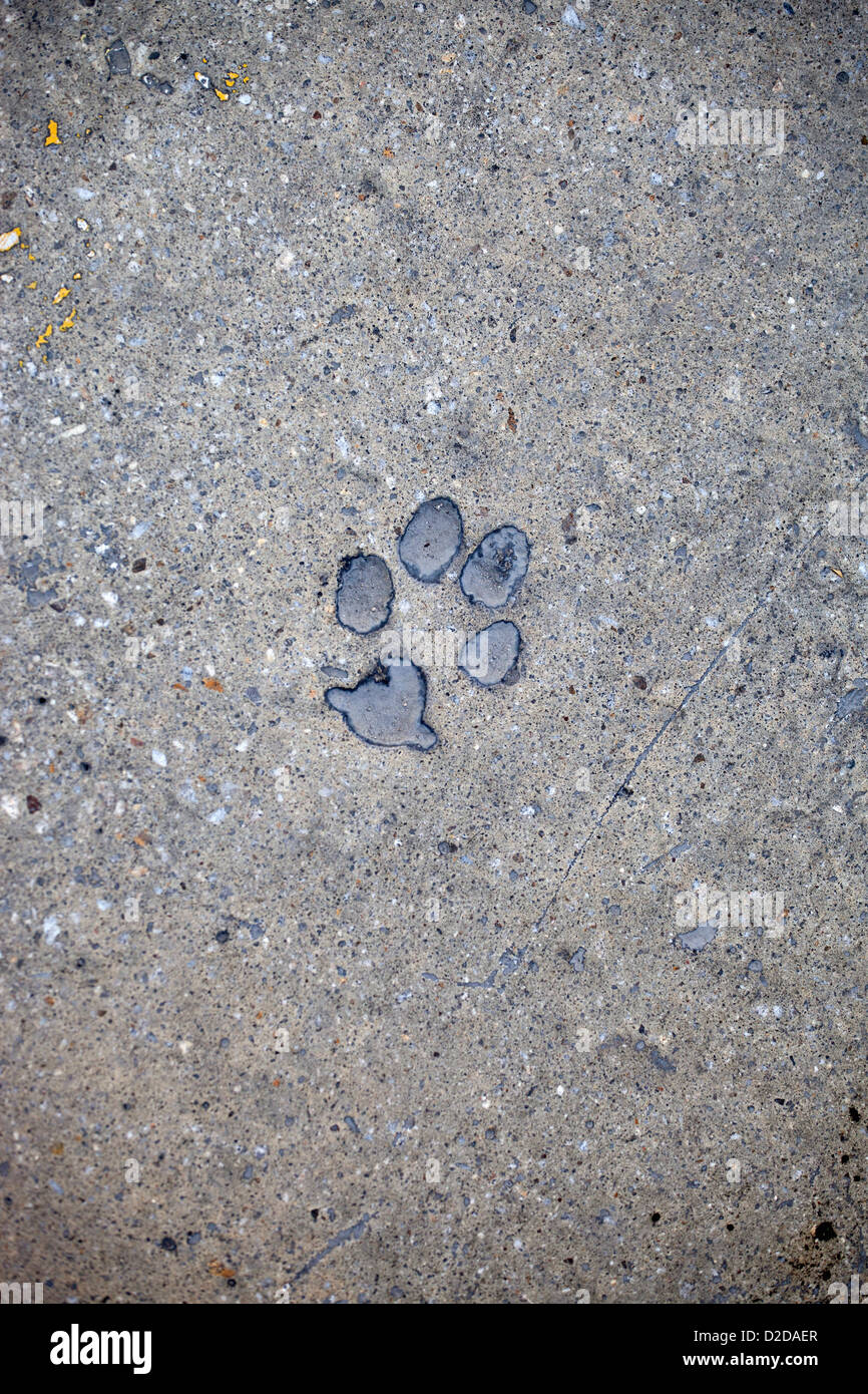 Cat paw print imprint hires stock photography and images Alamy