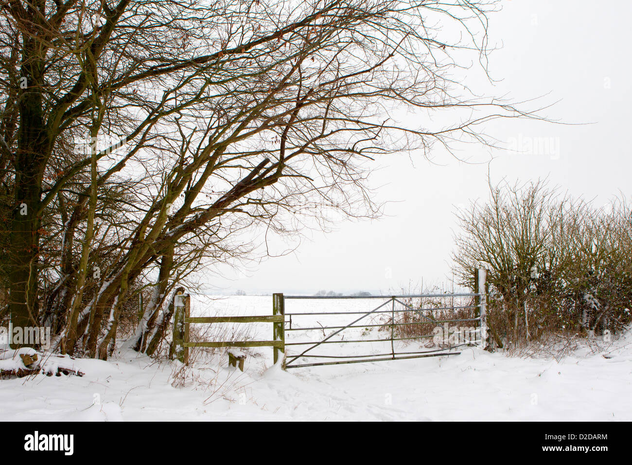 Winter landscape on the Downs near the village of Cherhill in Wiltshire, England, UK. Stock Photo