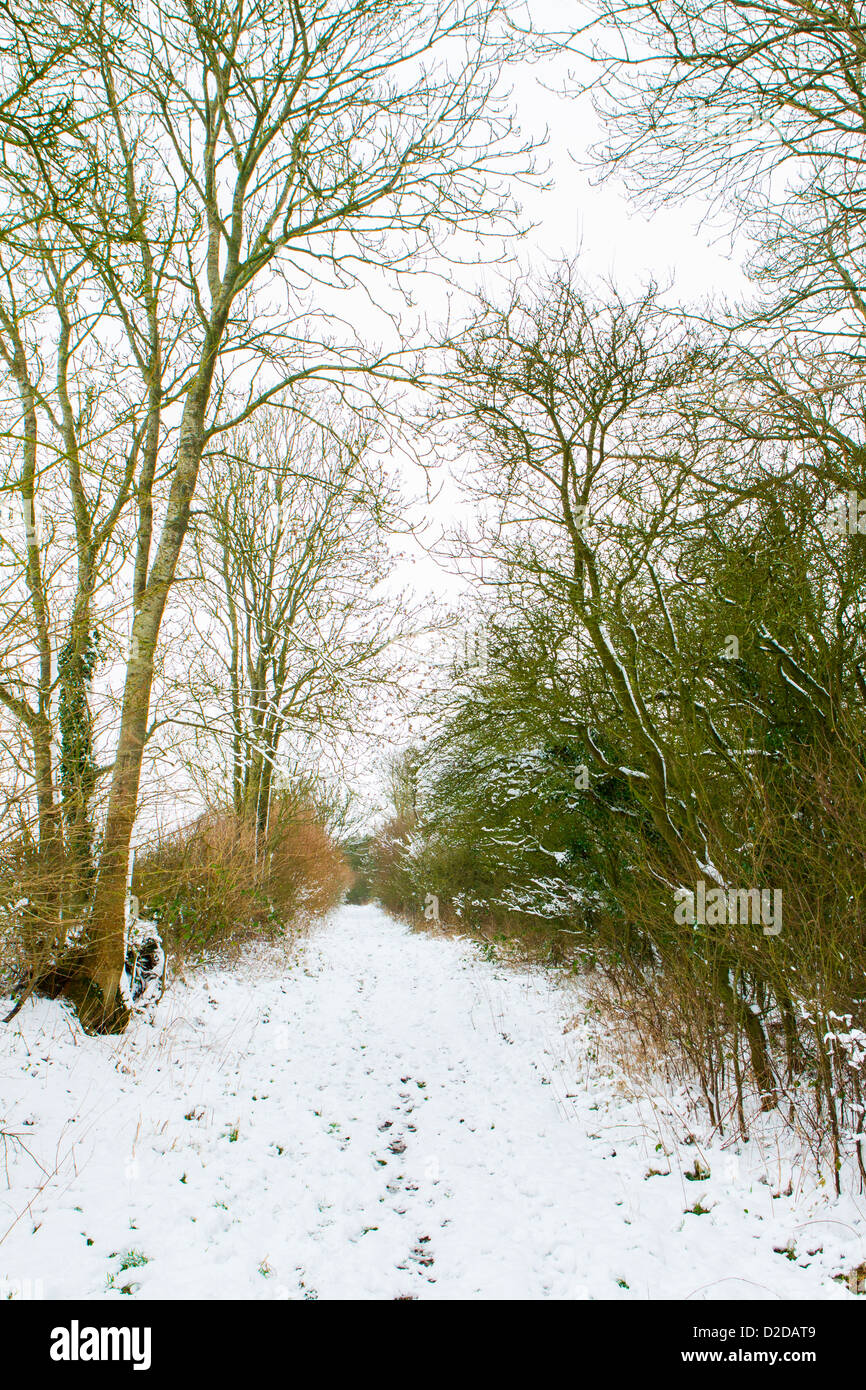 Winter landscape on the Downs near the village of Cherhill in Wiltshire, England, UK. Stock Photo