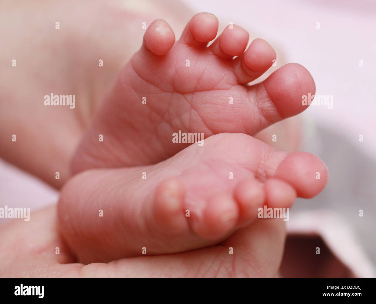 newborn baby feet Stock Photo Alamy