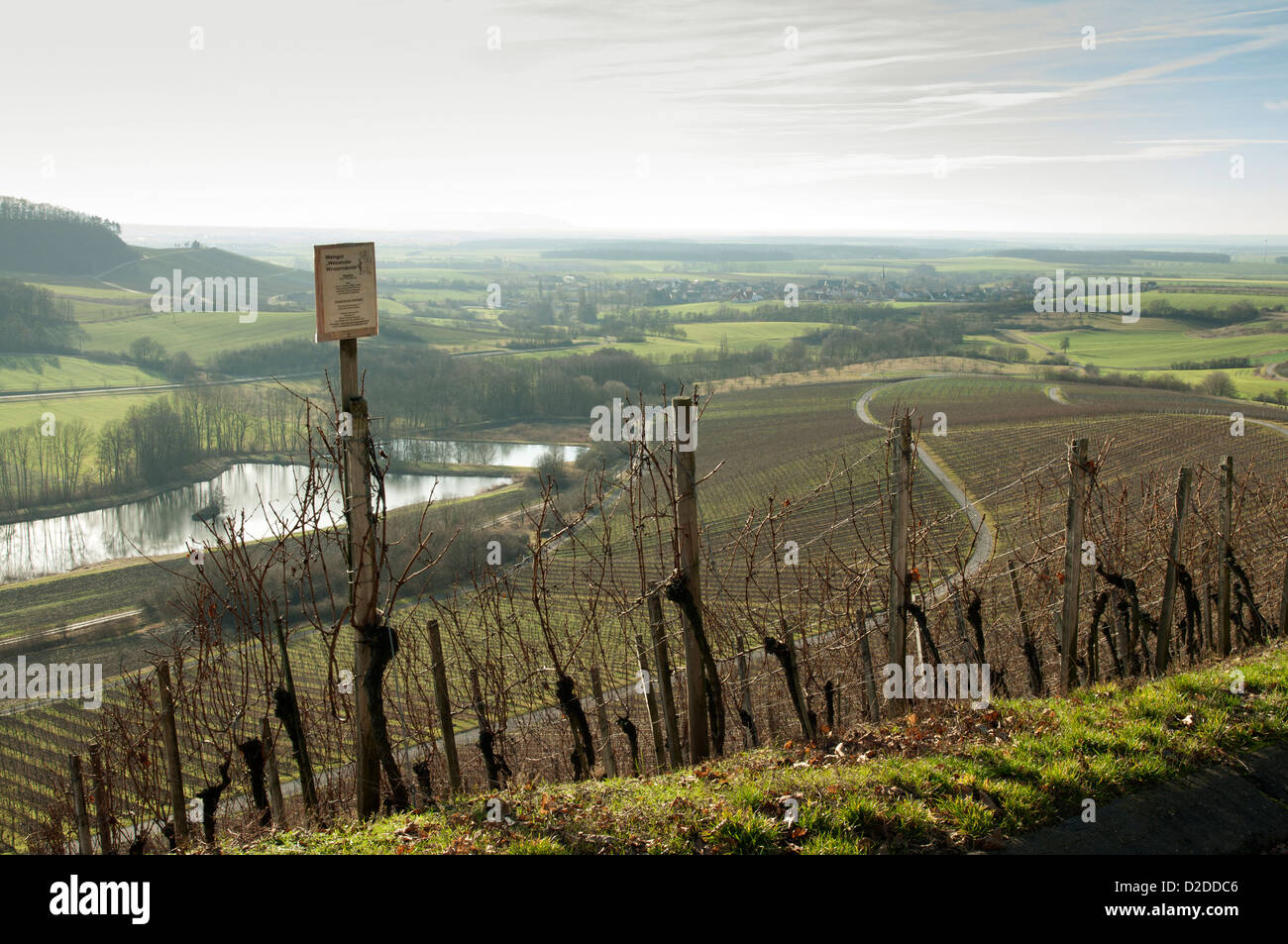 Franconian vineyard near Oberschwarzach in winter, Germany. Stock Photo