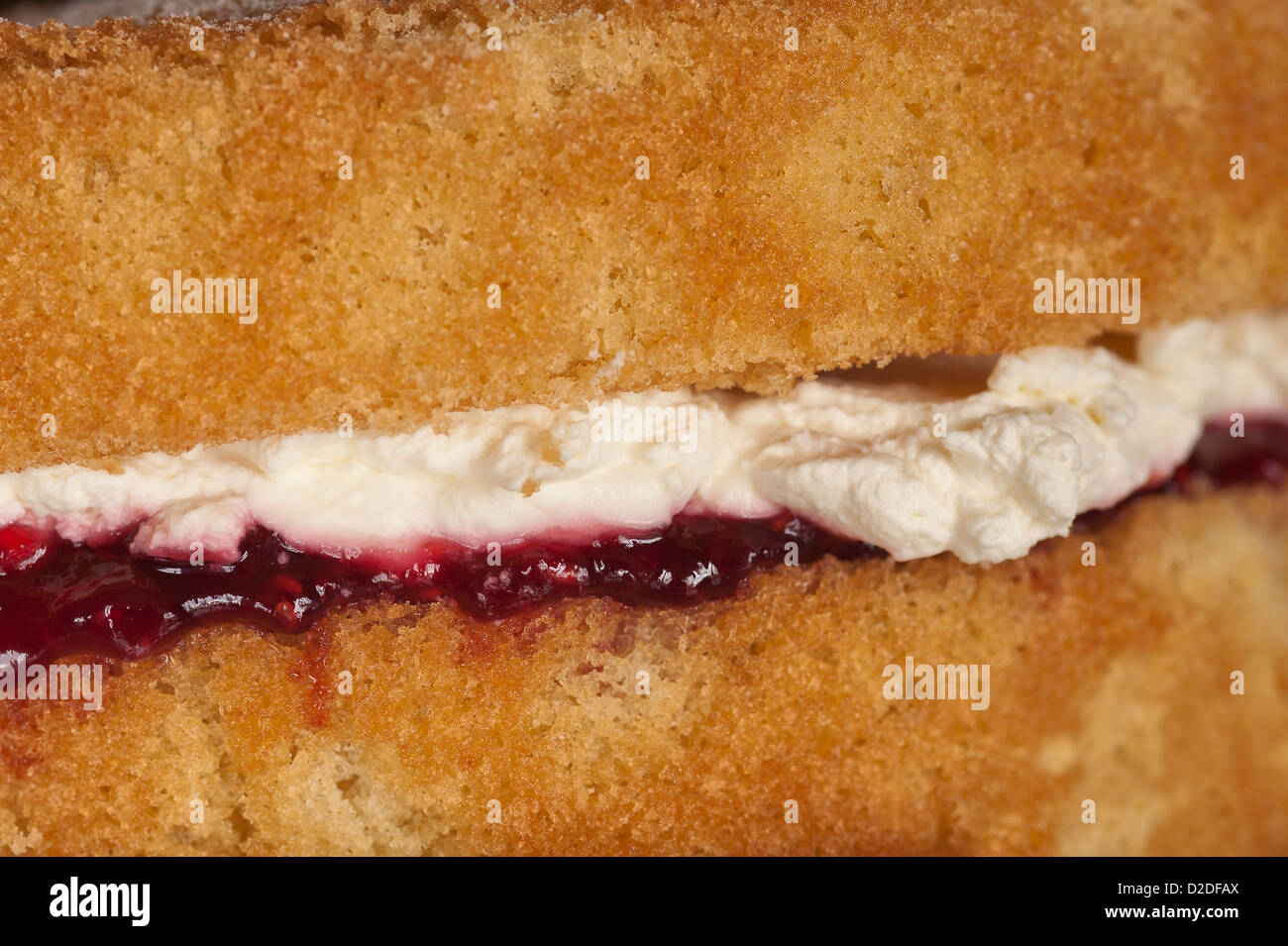 Classic Victoria sandwich traditional homemade sponge cake filled with double cream and jam