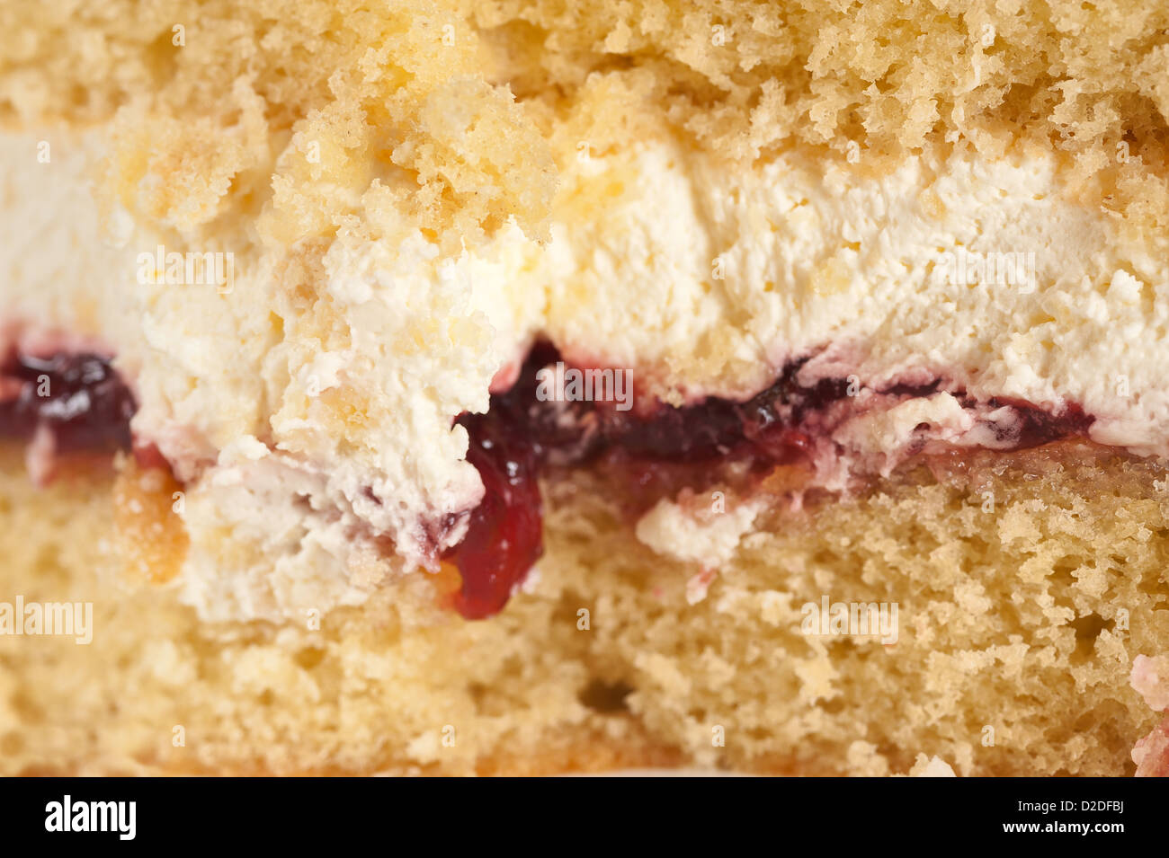 Classic Victoria sandwich traditional homemade sponge cake filled with double cream and jam