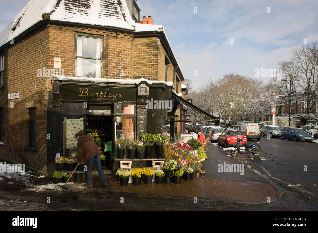 Employee of Bartleys the florist business in Dulwich Village, south London, brushes melting pavement snow. Stock Photo