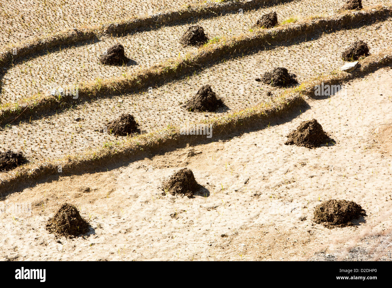 Terrace farming steep hi-res stock photography and images - Alamy