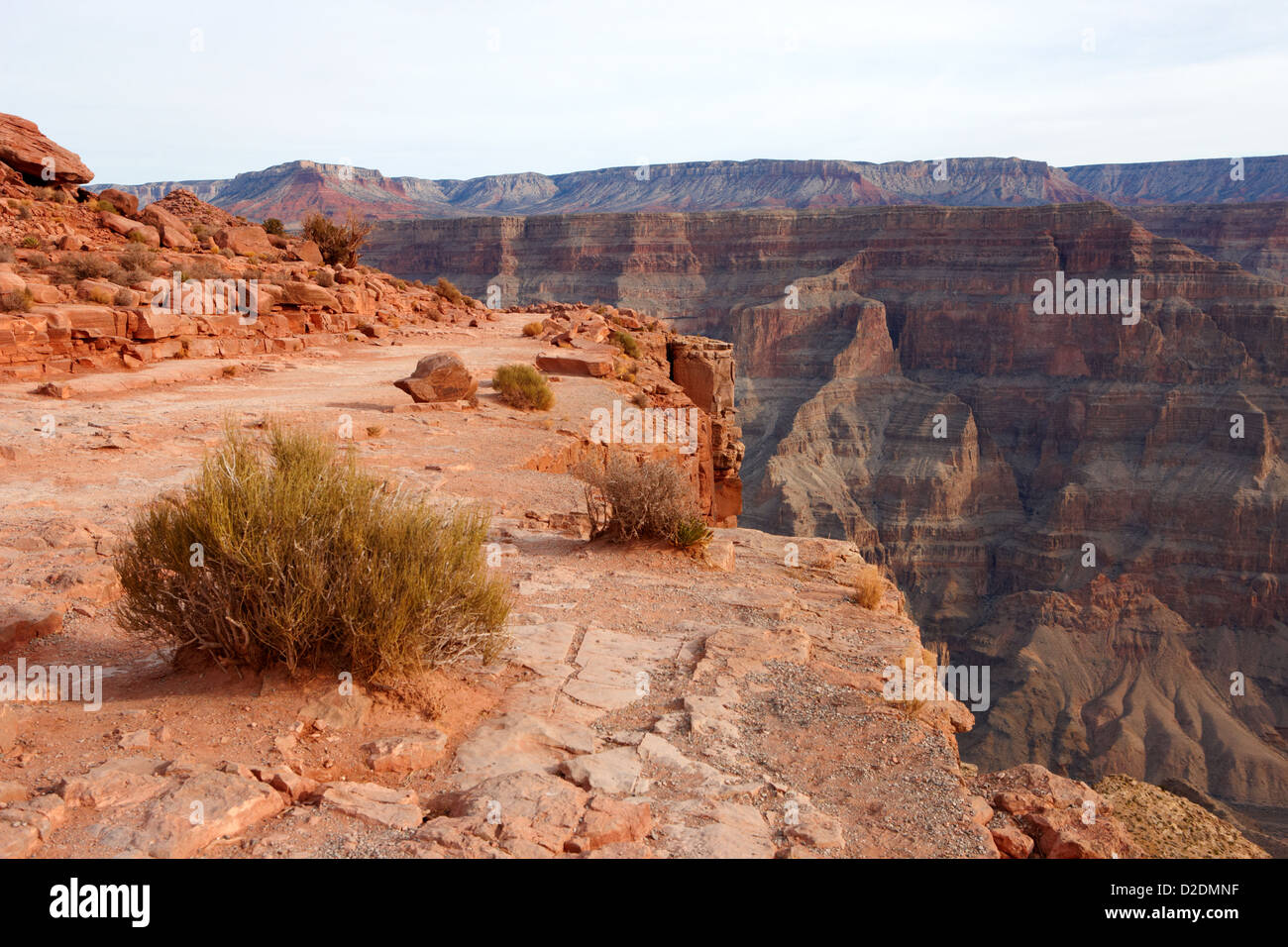 top edge of the grand canyon at guano point Grand Canyon west arizona usa Stock Photo