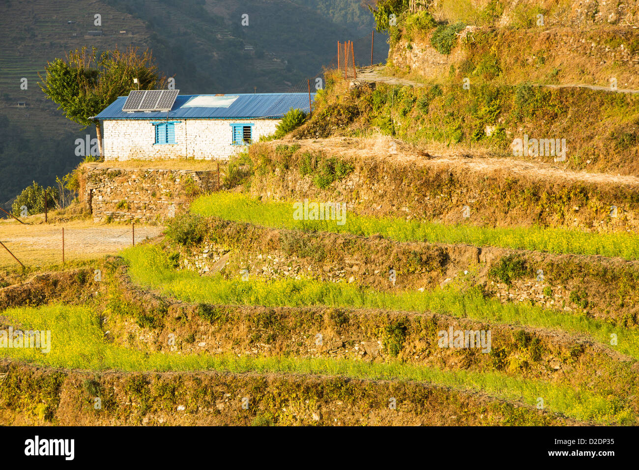 Solar photo voltaic panels on the rooftops of a school in Ladruk in the Himalayan foothills, Nepal. Stock Photo