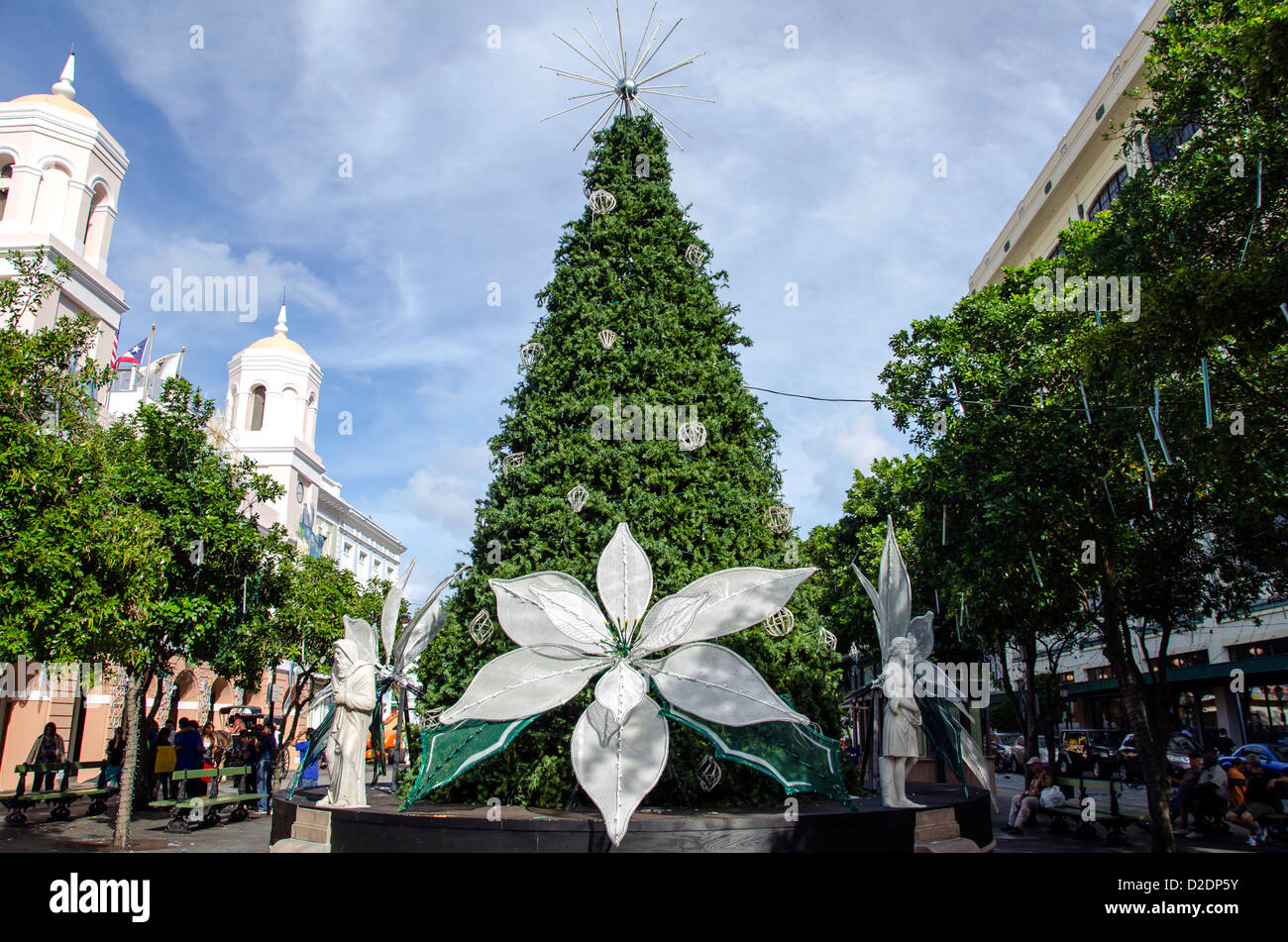 old san juan decorated christmas tree with white poinciana at plaza de armas puerto rico - Puerto Rico Christmas Tree Decorations old san juan decorated christmas tree with white poinciana at plaza de armas puerto rico - Puerto Rico Christmas Tree Decorations