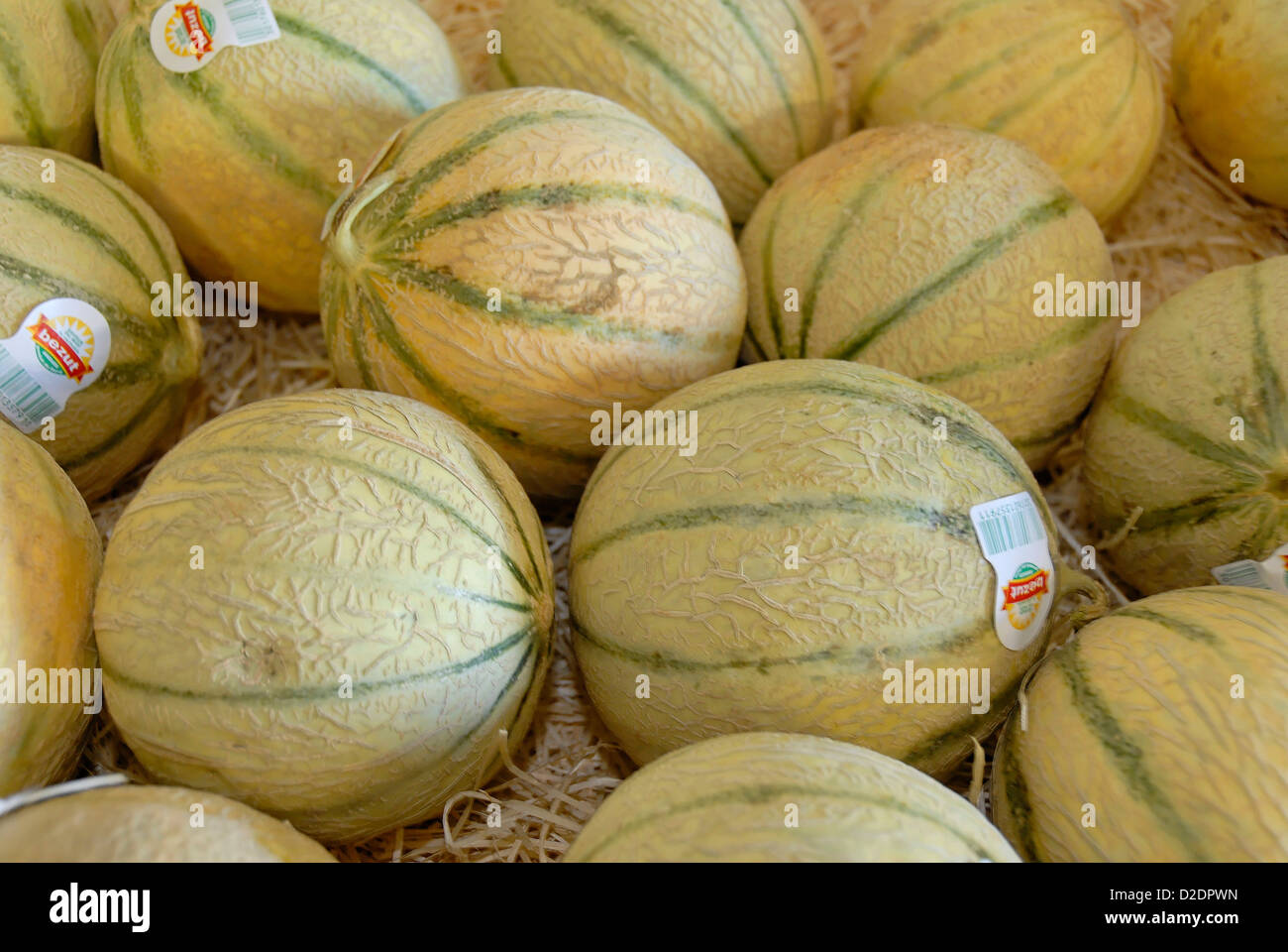France, close up of melons Stock Photo Alamy