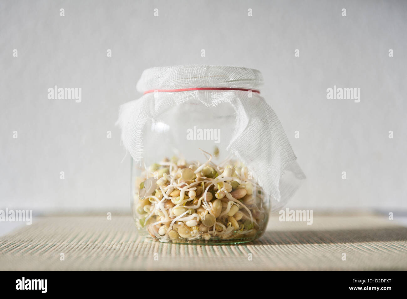 Mix of fresh sprouts growing in glass jar Stock Photo