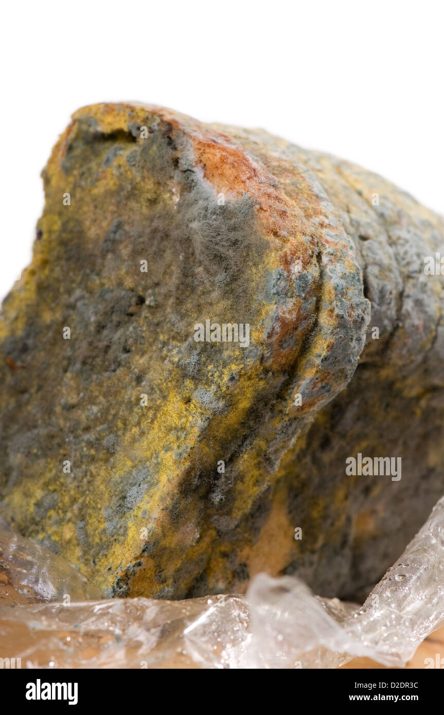 Slices of moldy bread on plastic film Stock Photo