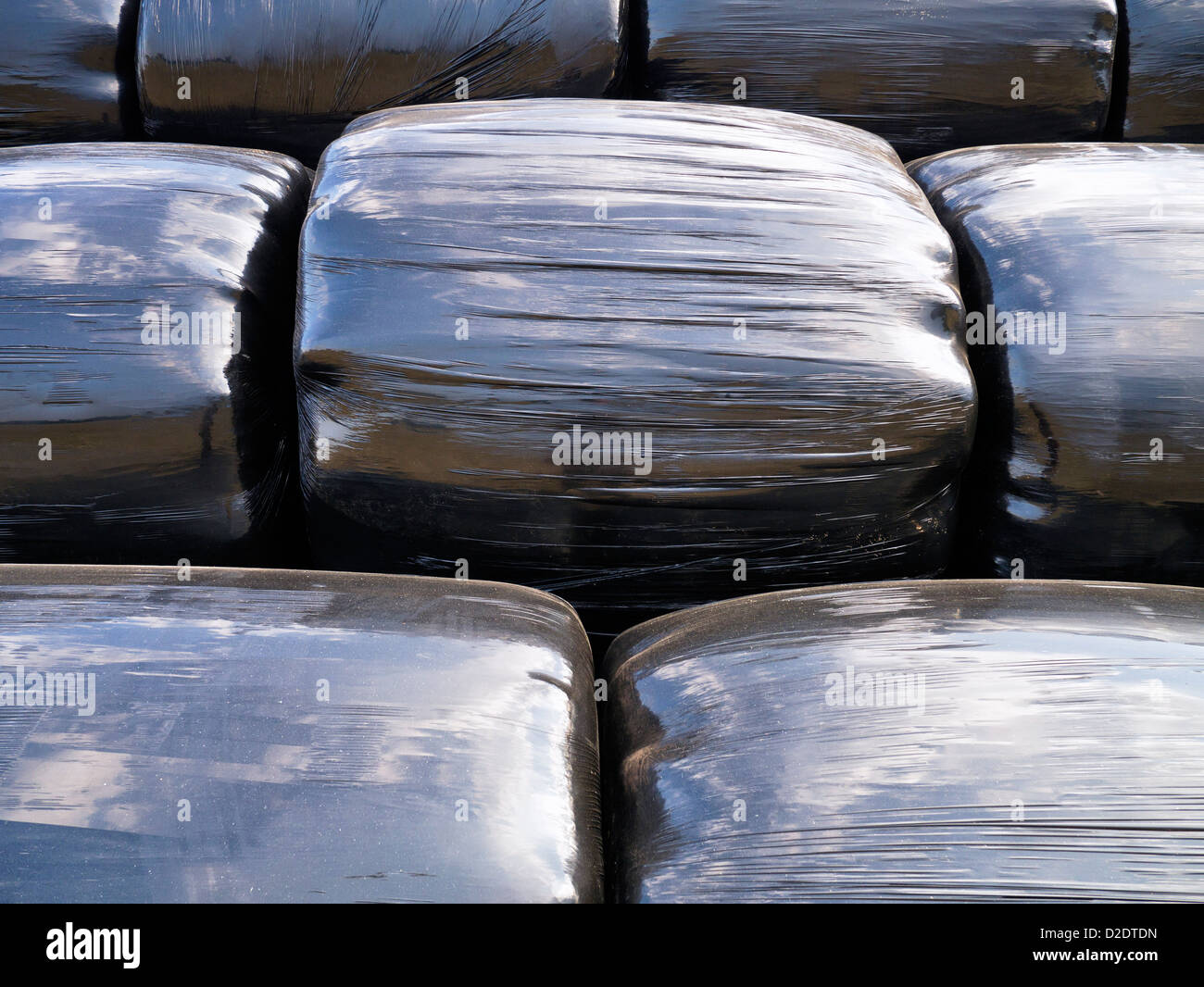 Bales of Straw Wrapped in Black Plastic Bags Stock Photo
