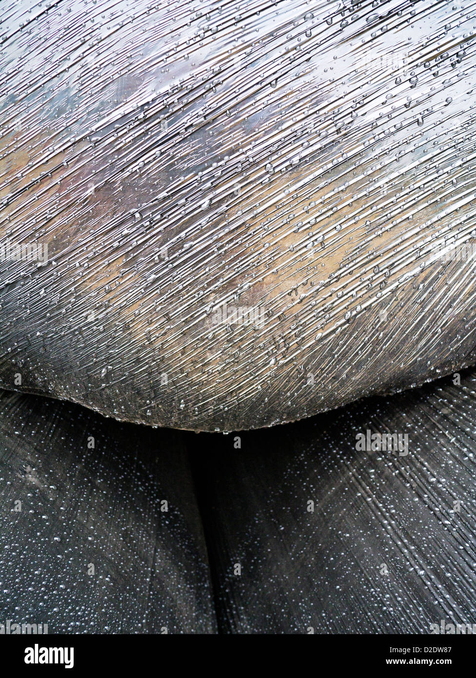 Bales of Straw Wrapped in Black Plastic Bags Stock Photo