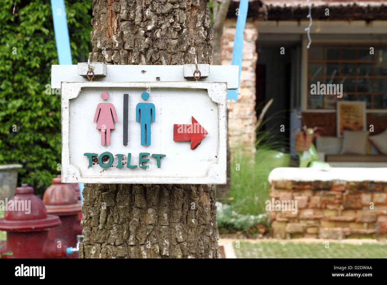toilet sign with arrow on the tree Stock Photo