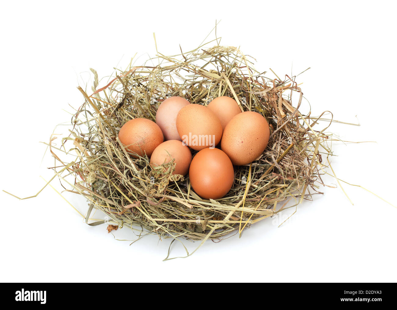 Brown eggs in a nest isolated on a white background Stock Photo - Alamy