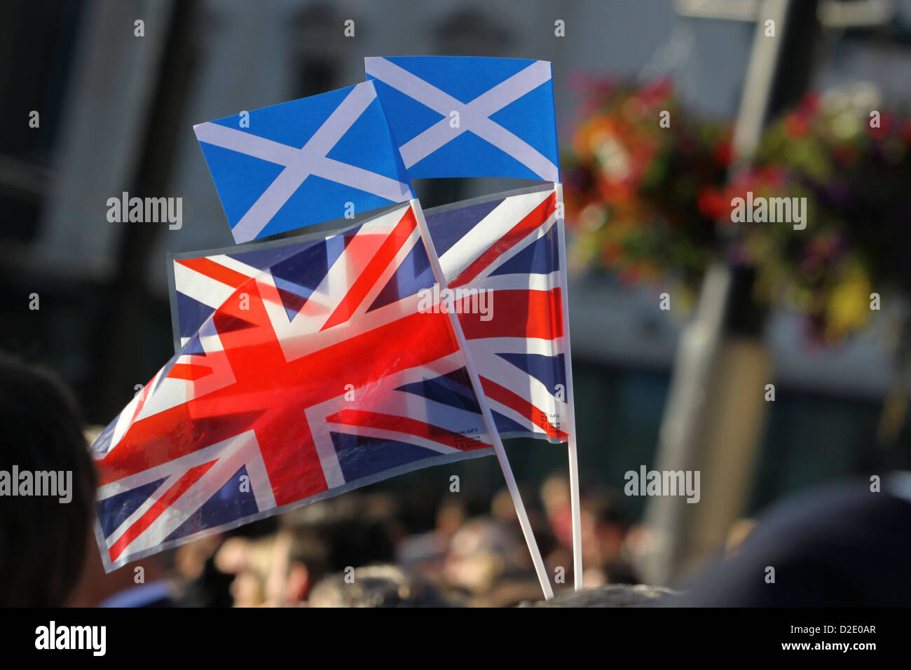 St Andrew's saltire and Union Jack flags Stock Photo