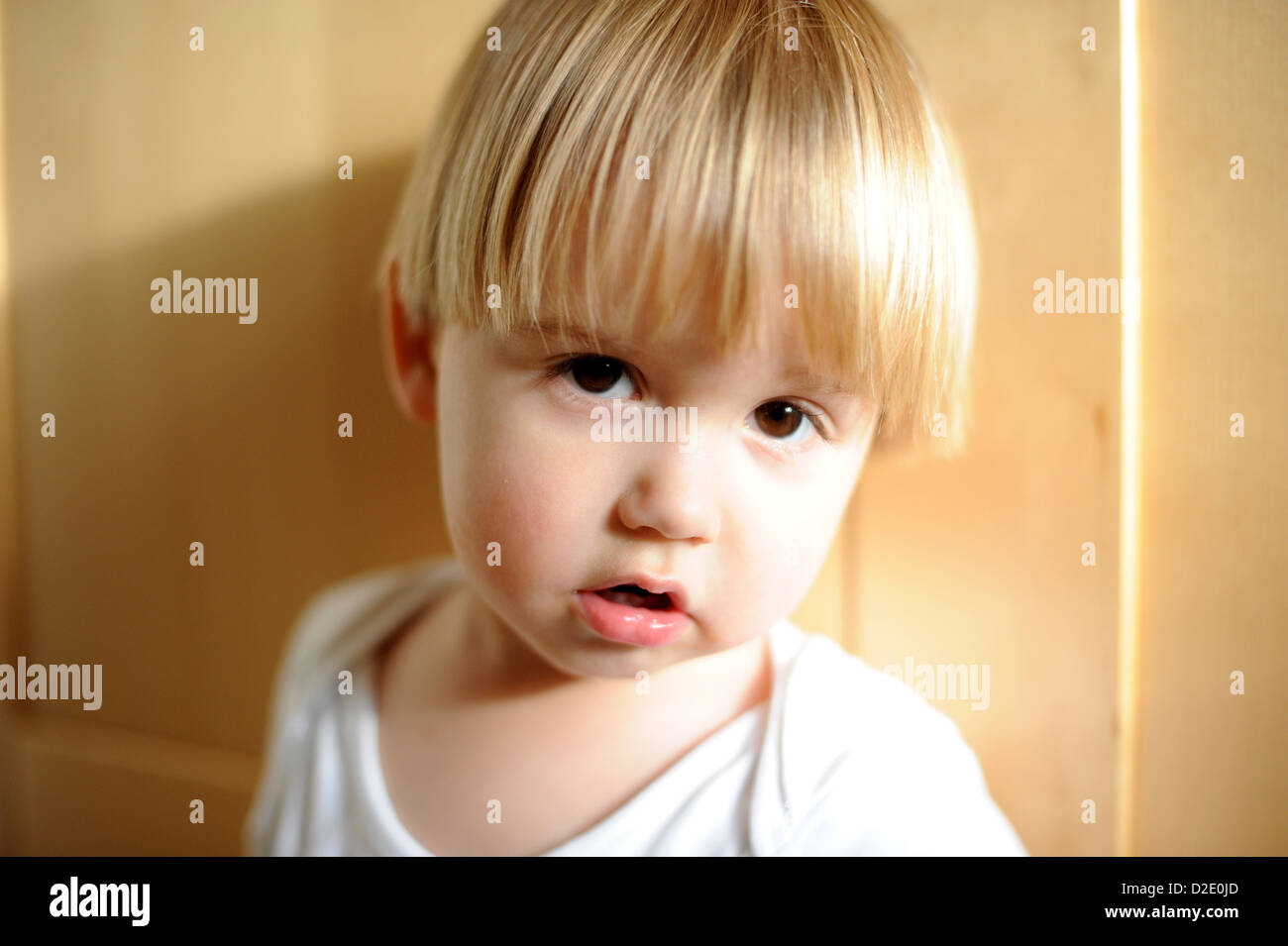 Portrait Person Icon Hi res Stock Photography And Images Alamy