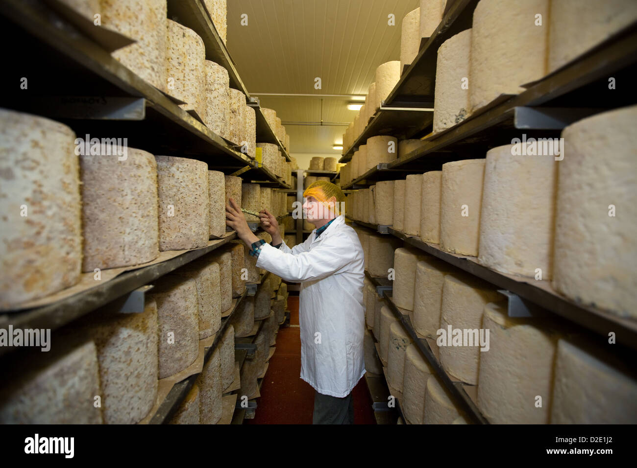 Tuxford hires stock photography and images Alamy